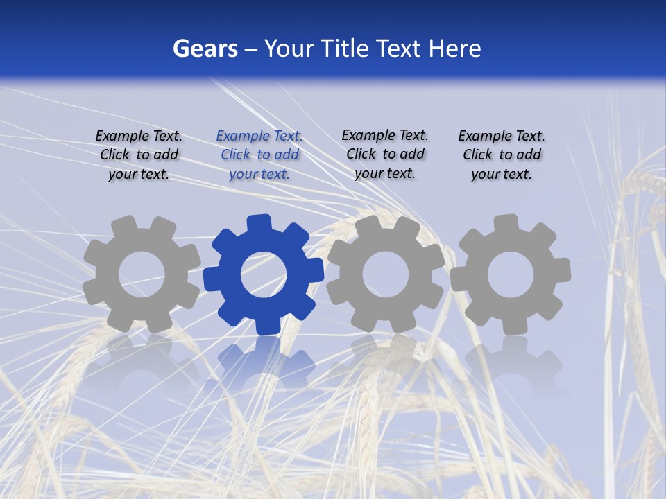 Wheat Ear Wheat Field Summer PowerPoint Template