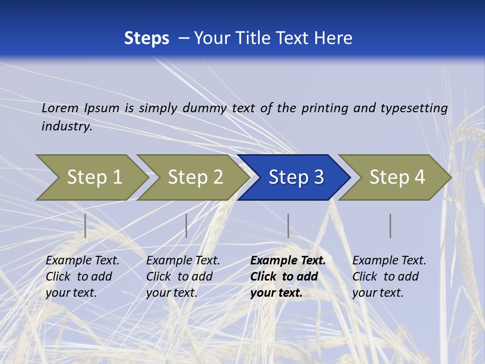 Wheat Ear Wheat Field Summer PowerPoint Template