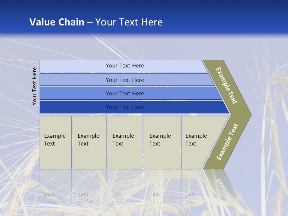 Wheat Ear Wheat Field Summer PowerPoint Template