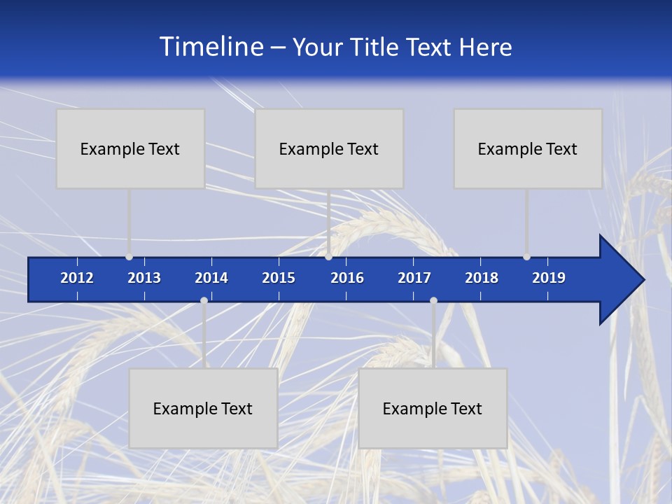 Wheat Ear Wheat Field Summer PowerPoint Template