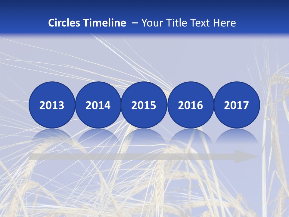 Wheat Ear Wheat Field Summer PowerPoint Template