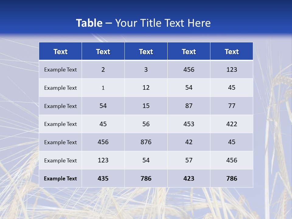 Wheat Ear Wheat Field Summer PowerPoint Template