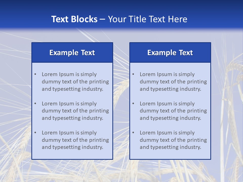 Wheat Ear Wheat Field Summer PowerPoint Template