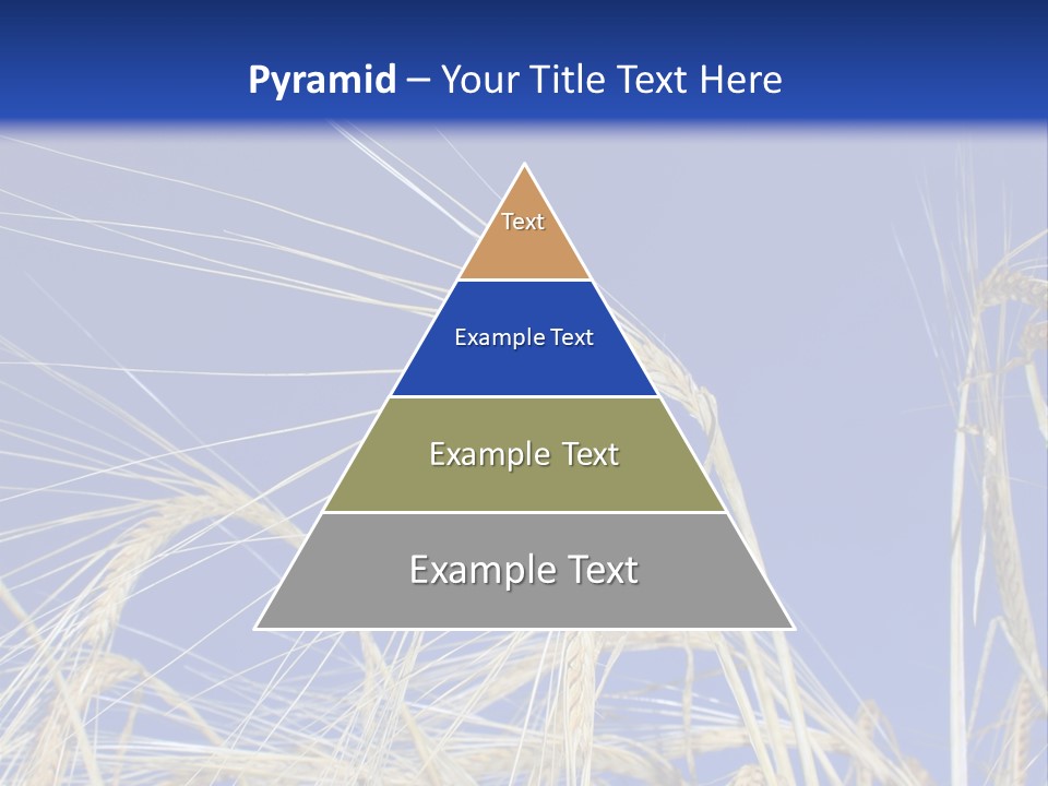 Wheat Ear Wheat Field Summer PowerPoint Template