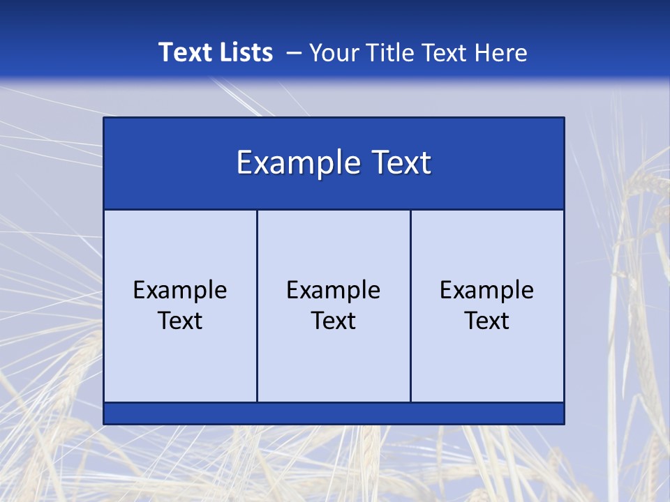 Wheat Ear Wheat Field Summer PowerPoint Template