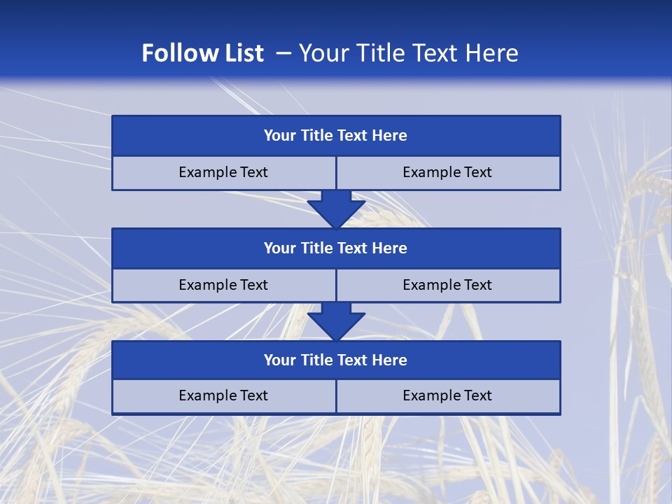 Wheat Ear Wheat Field Summer PowerPoint Template