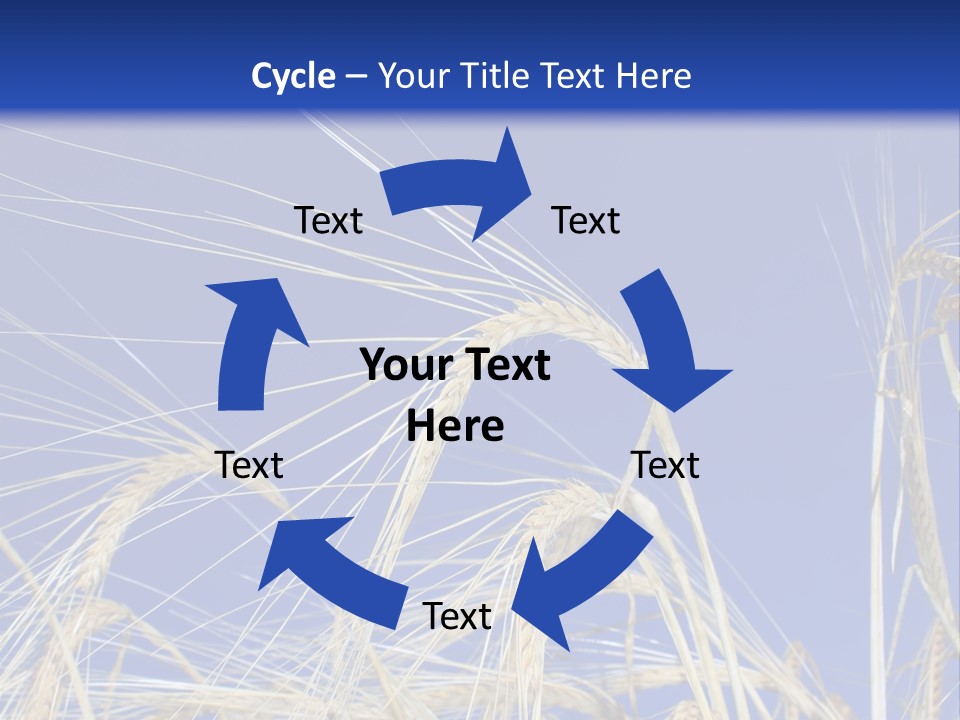 Wheat Ear Wheat Field Summer PowerPoint Template