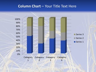 Wheat Ear Wheat Field Summer PowerPoint Template