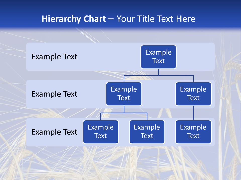 Wheat Ear Wheat Field Summer PowerPoint Template