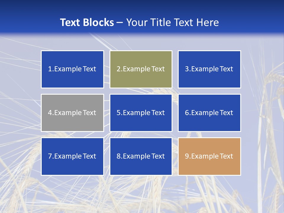 Wheat Ear Wheat Field Summer PowerPoint Template