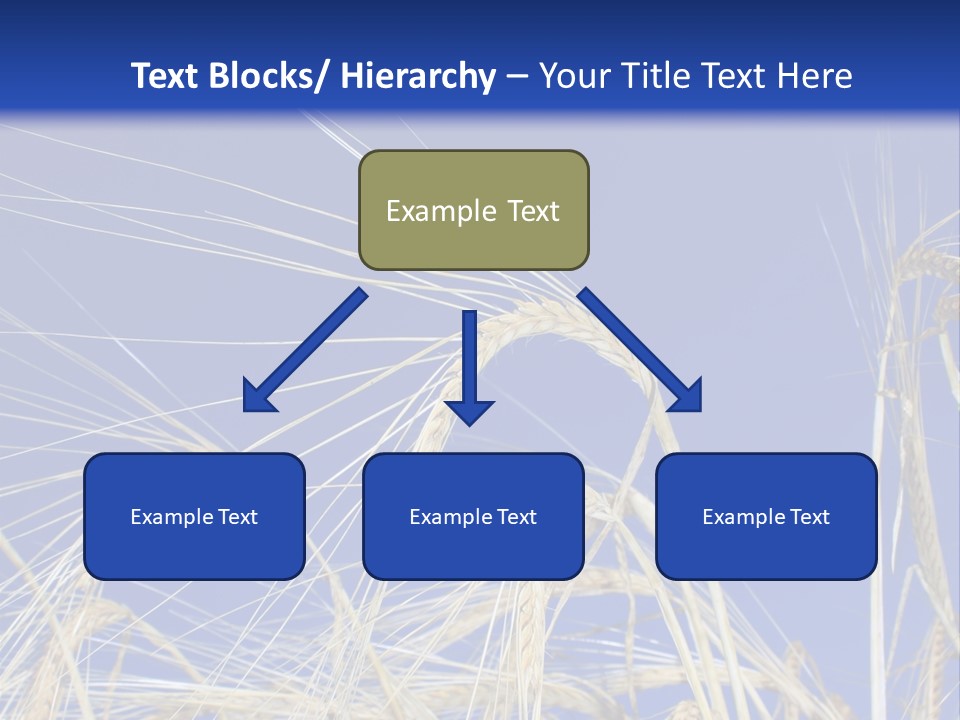 Wheat Ear Wheat Field Summer PowerPoint Template