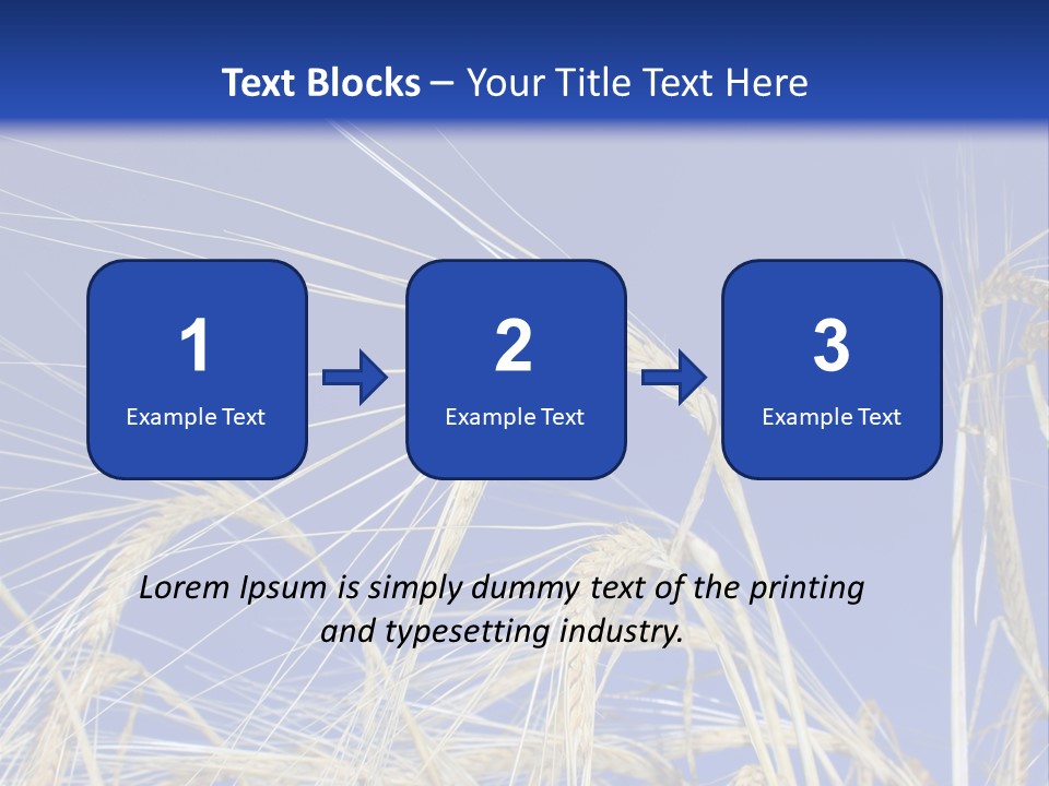 Wheat Ear Wheat Field Summer PowerPoint Template
