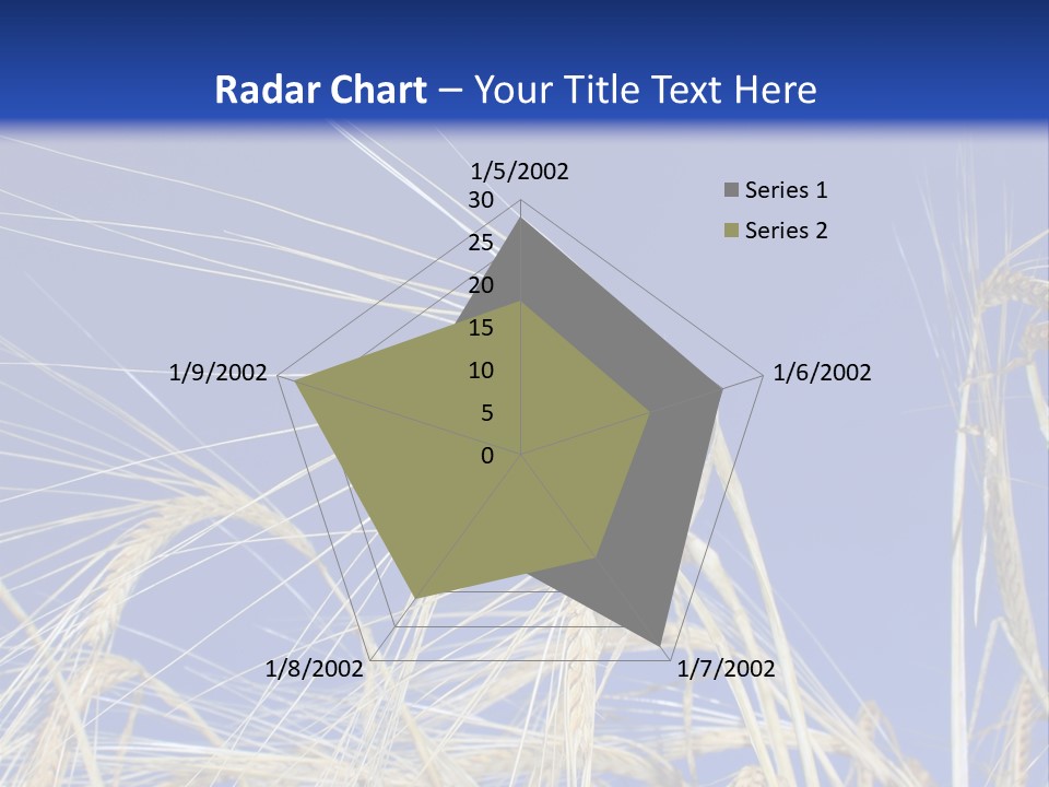 Wheat Ear Wheat Field Summer PowerPoint Template