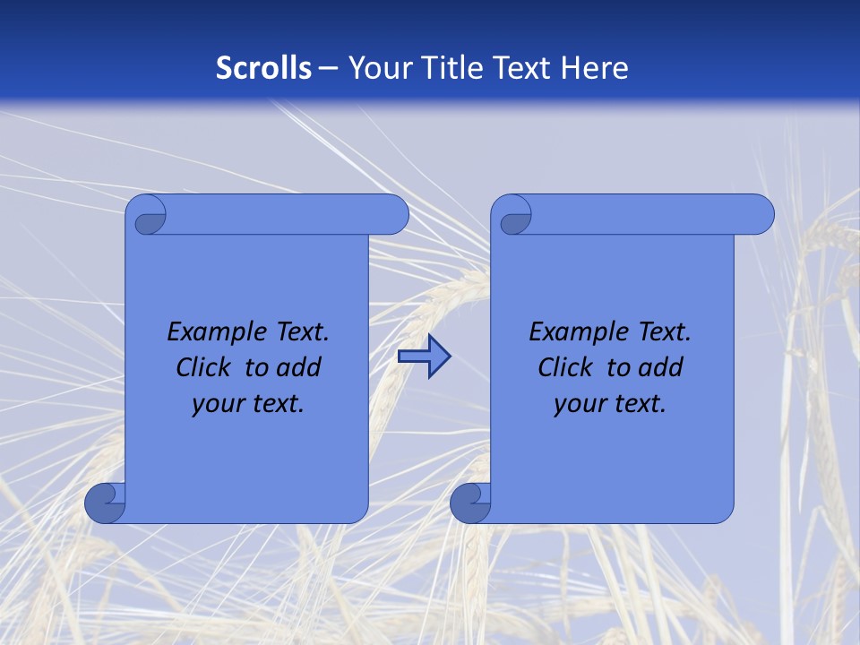 Wheat Ear Wheat Field Summer PowerPoint Template