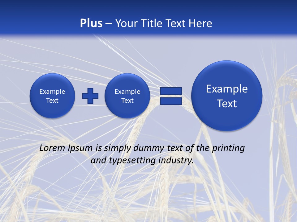 Wheat Ear Wheat Field Summer PowerPoint Template