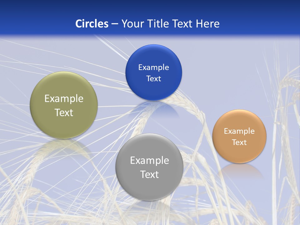 Wheat Ear Wheat Field Summer PowerPoint Template