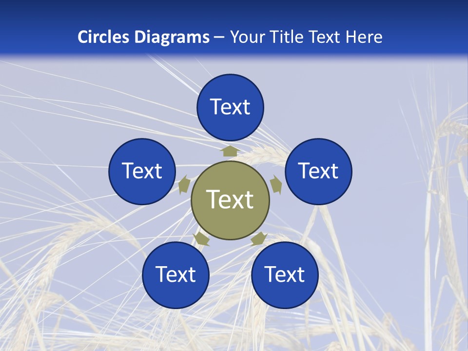 Wheat Ear Wheat Field Summer PowerPoint Template