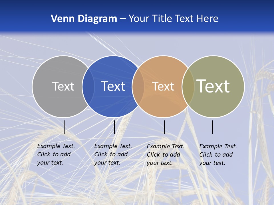 Wheat Ear Wheat Field Summer PowerPoint Template