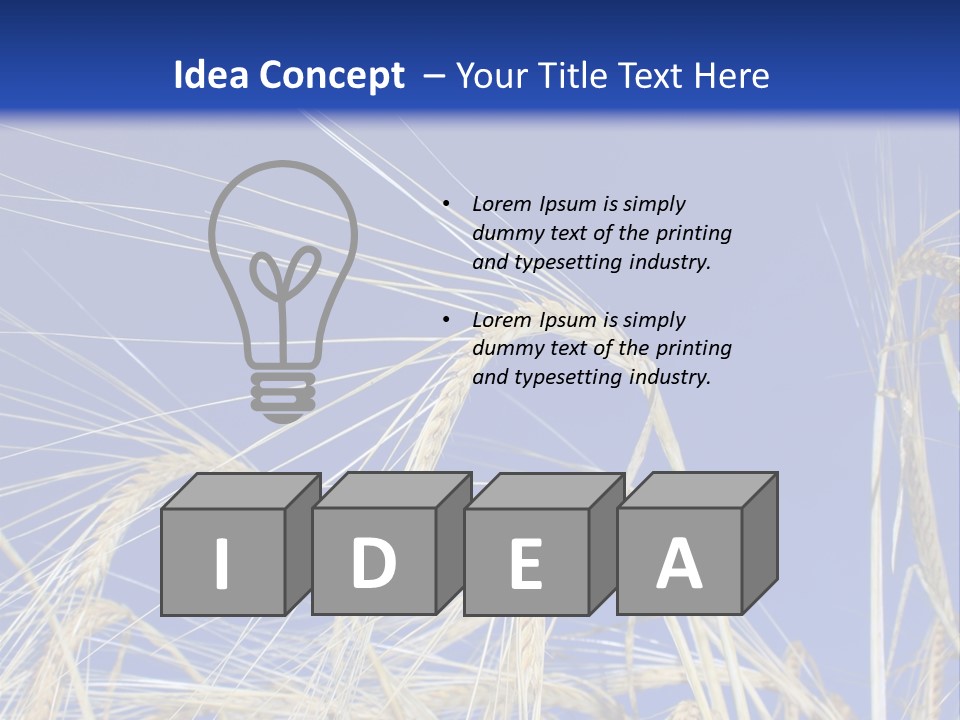 Wheat Ear Wheat Field Summer PowerPoint Template