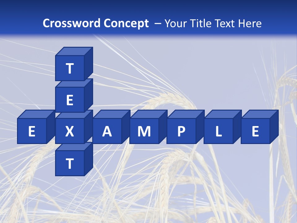 Wheat Ear Wheat Field Summer PowerPoint Template