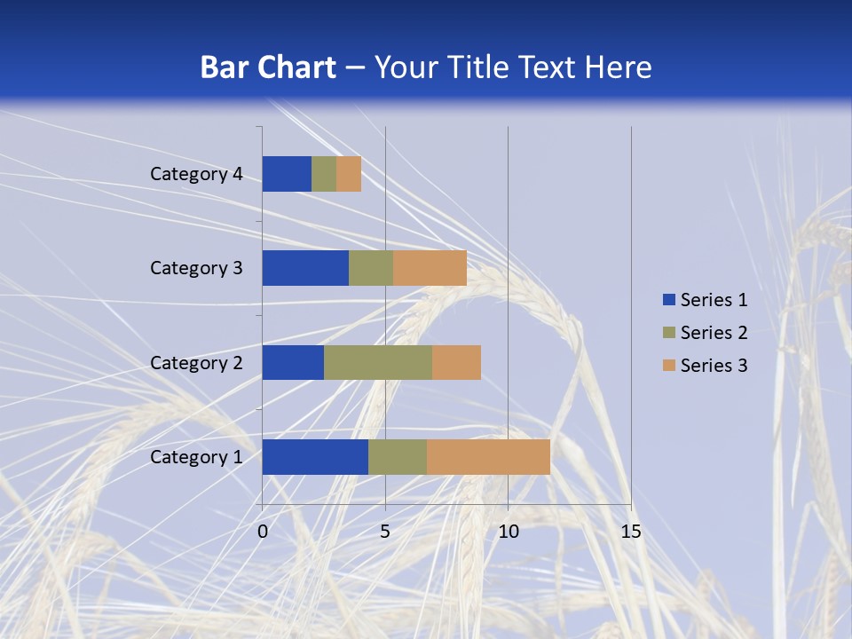 Wheat Ear Wheat Field Summer PowerPoint Template