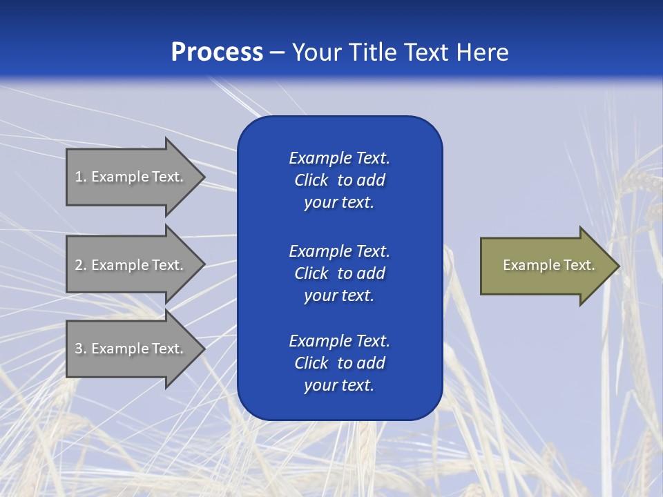 Wheat Ear Wheat Field Summer PowerPoint Template