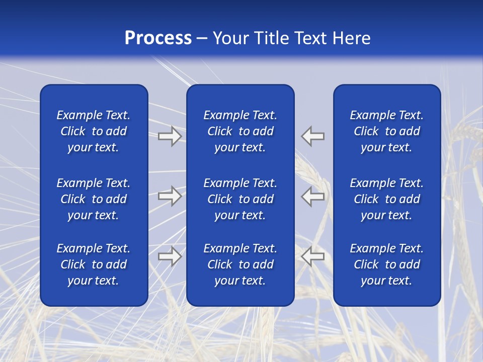 Wheat Ear Wheat Field Summer PowerPoint Template
