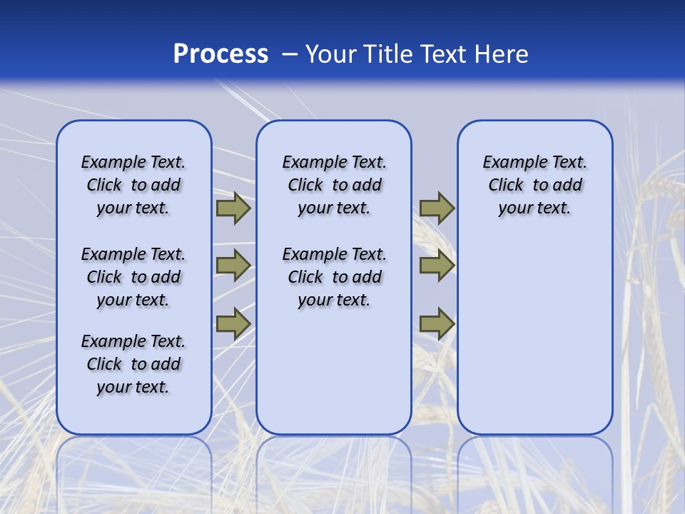 Wheat Ear Wheat Field Summer PowerPoint Template