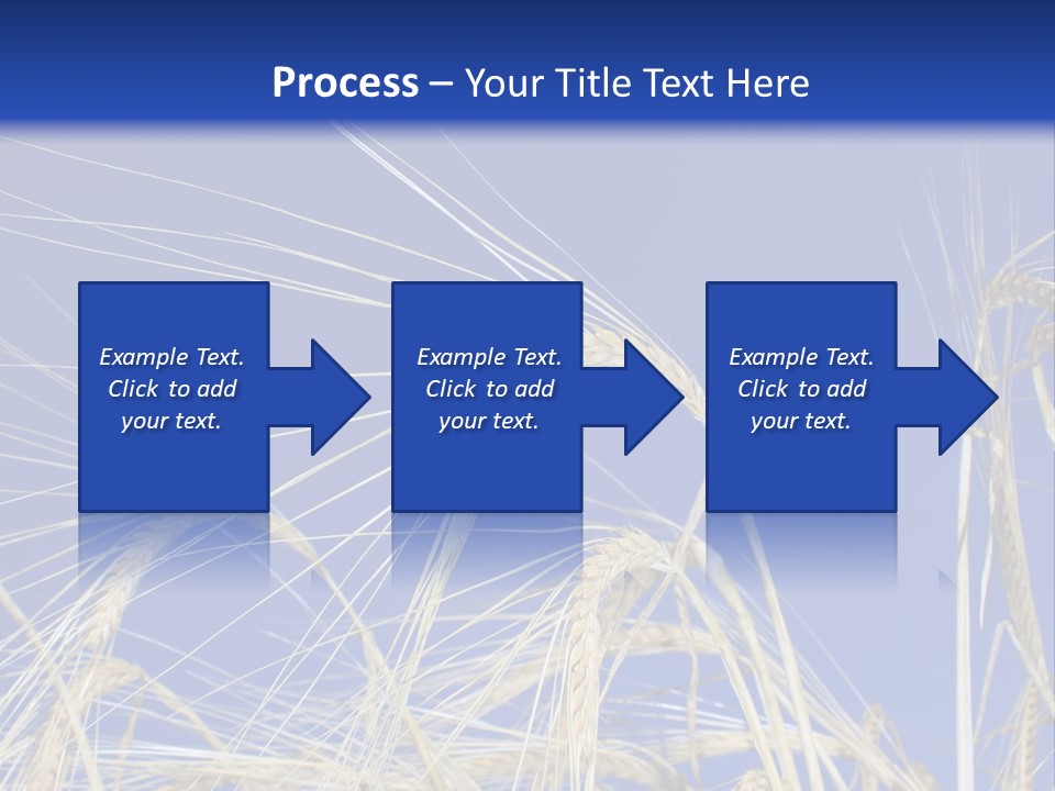 Wheat Ear Wheat Field Summer PowerPoint Template