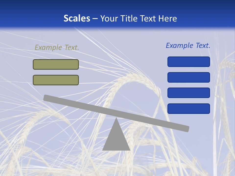 Wheat Ear Wheat Field Summer PowerPoint Template