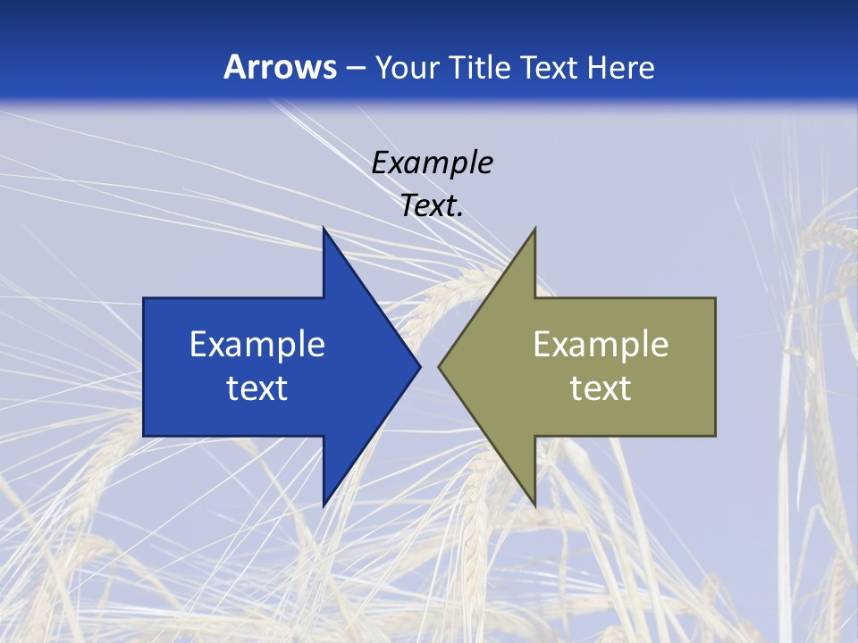 Wheat Ear Wheat Field Summer PowerPoint Template