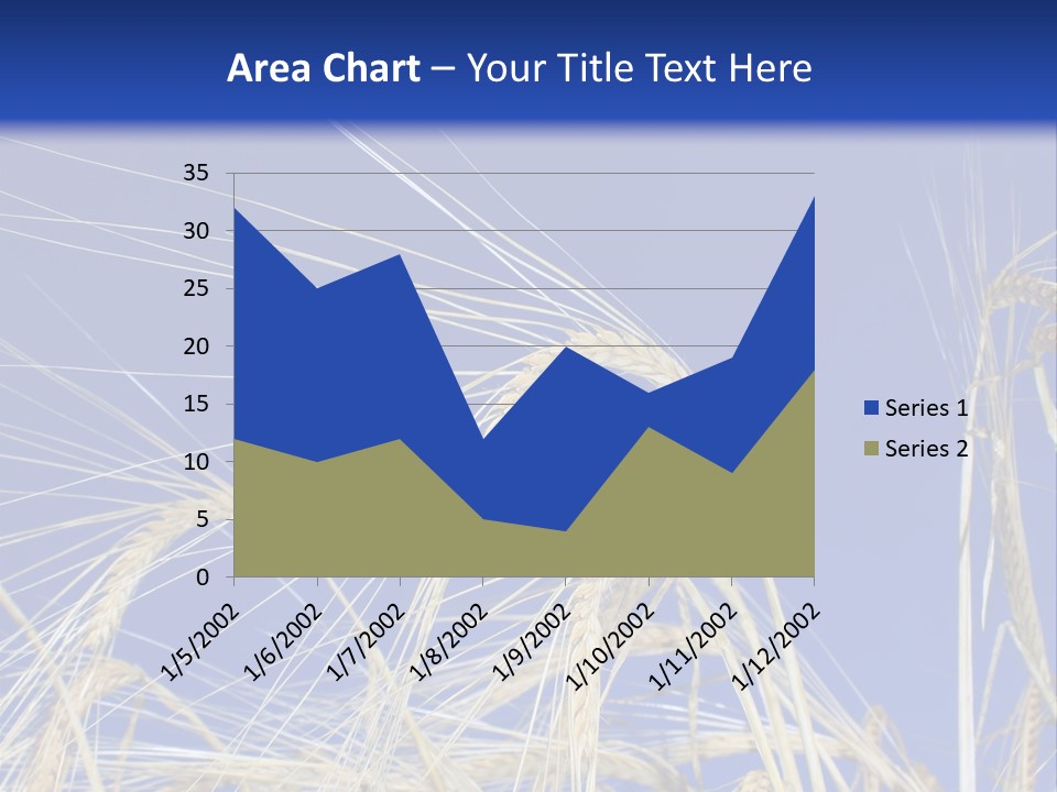Wheat Ear Wheat Field Summer PowerPoint Template