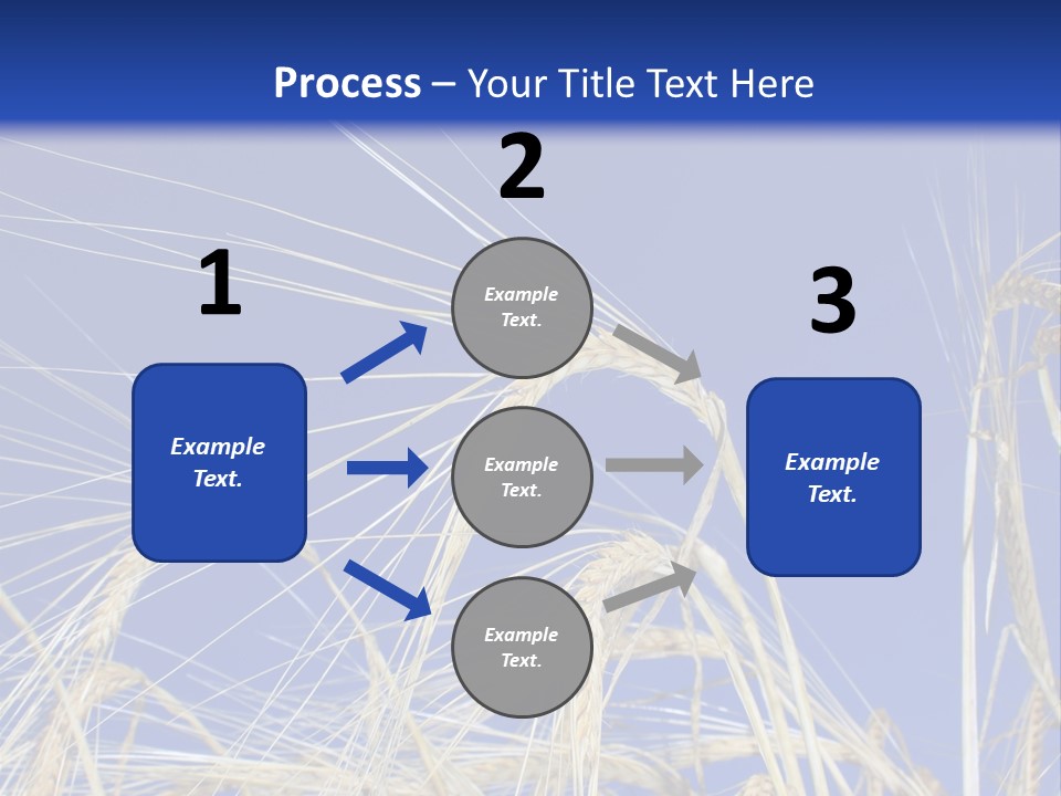 Wheat Ear Wheat Field Summer PowerPoint Template