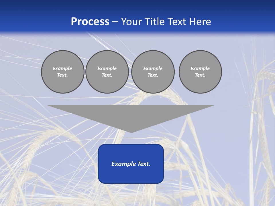 Wheat Ear Wheat Field Summer PowerPoint Template