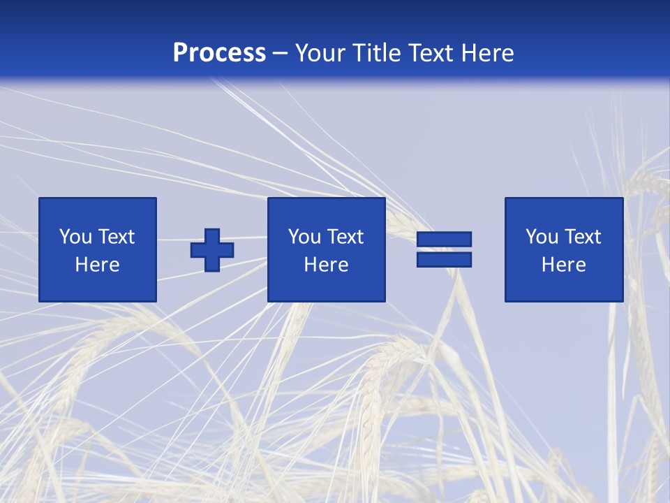 Wheat Ear Wheat Field Summer PowerPoint Template