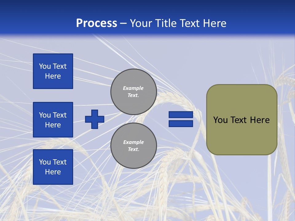 Wheat Ear Wheat Field Summer PowerPoint Template