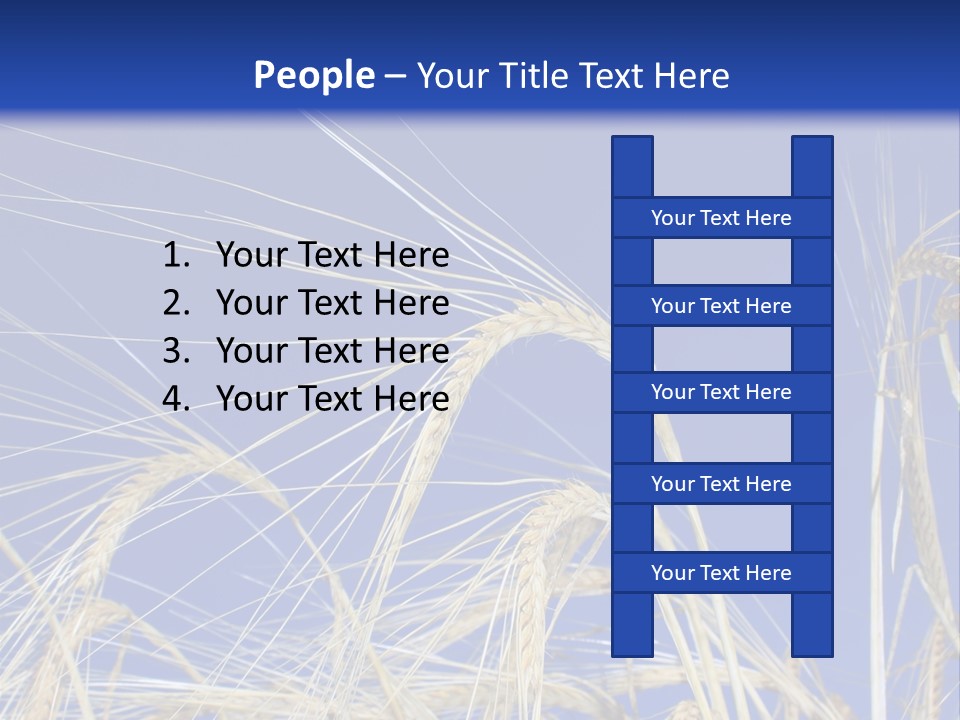 Wheat Ear Wheat Field Summer PowerPoint Template