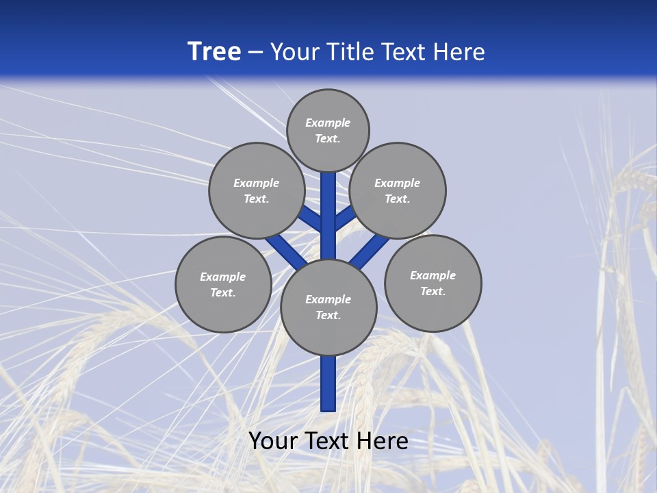 Wheat Ear Wheat Field Summer PowerPoint Template