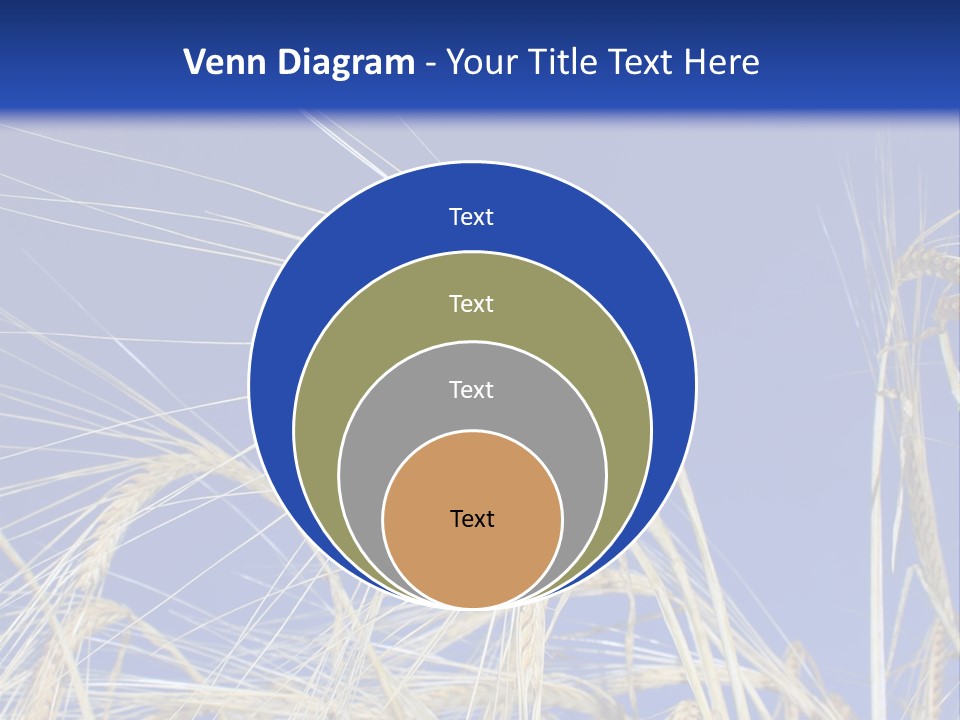 Wheat Ear Wheat Field Summer PowerPoint Template