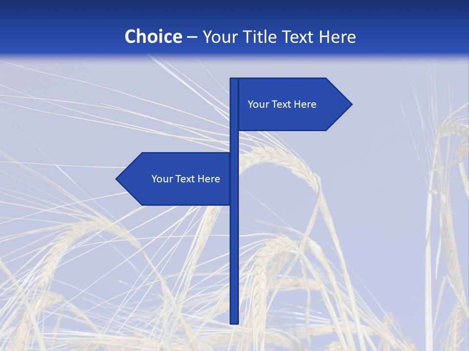 Wheat Ear Wheat Field Summer PowerPoint Template