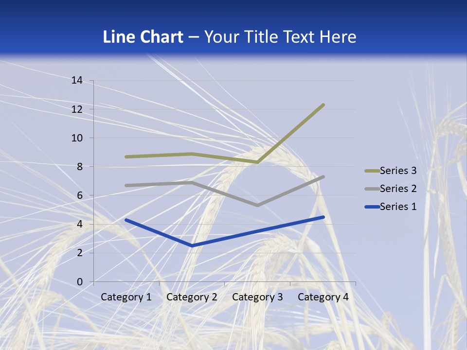 Wheat Ear Wheat Field Summer PowerPoint Template
