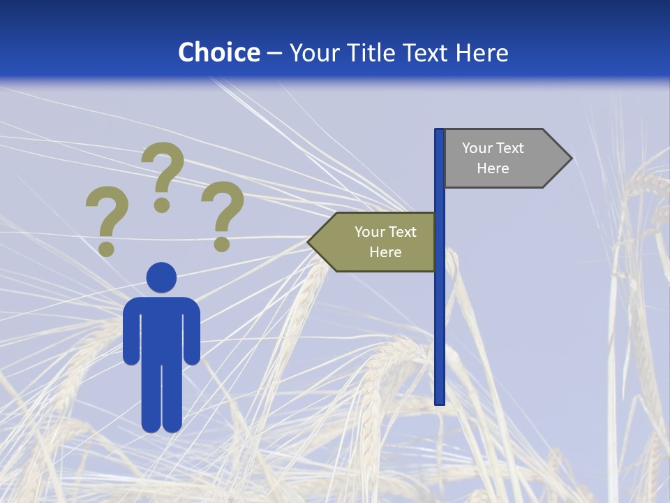 Wheat Ear Wheat Field Summer PowerPoint Template