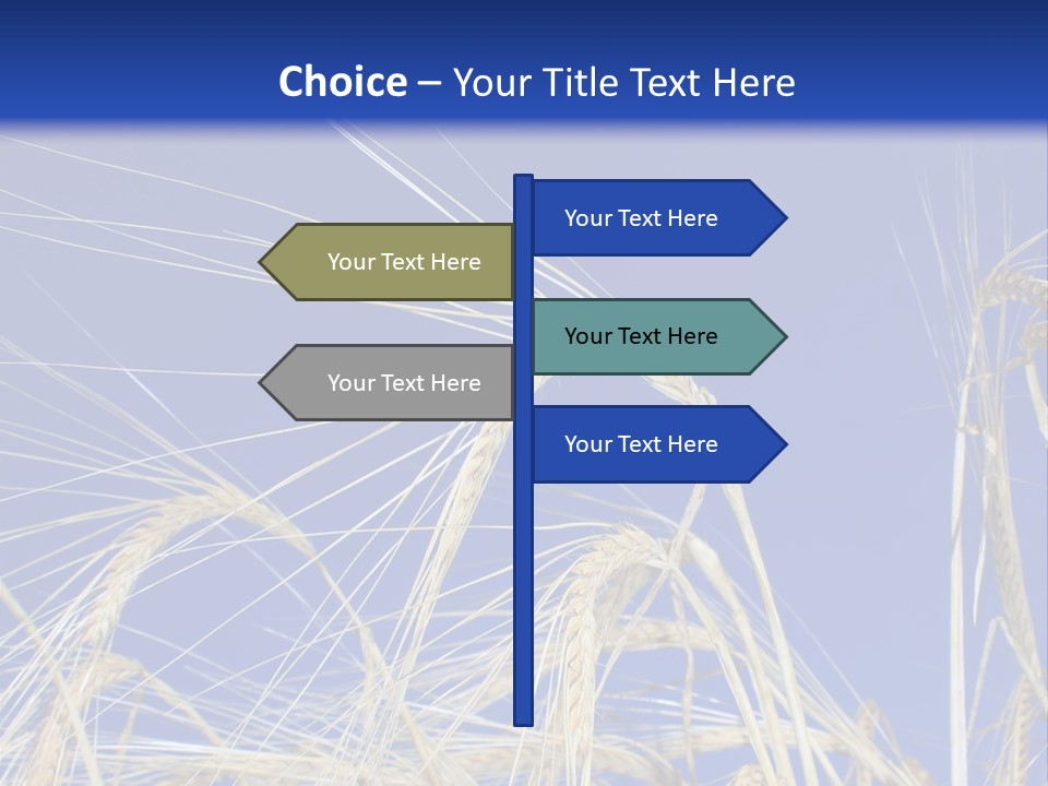 Wheat Ear Wheat Field Summer PowerPoint Template