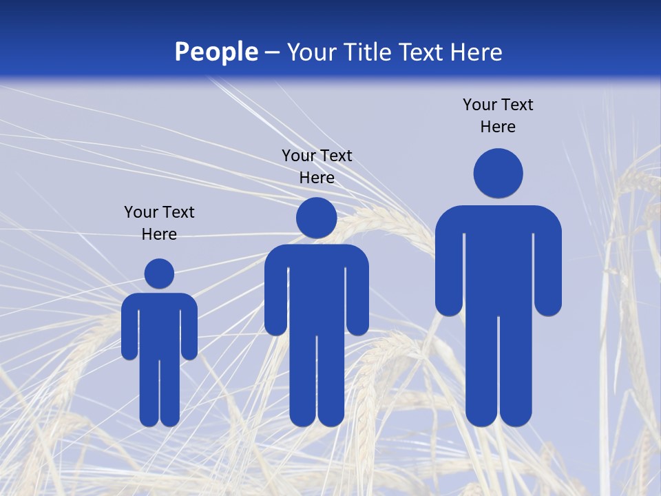 Wheat Ear Wheat Field Summer PowerPoint Template