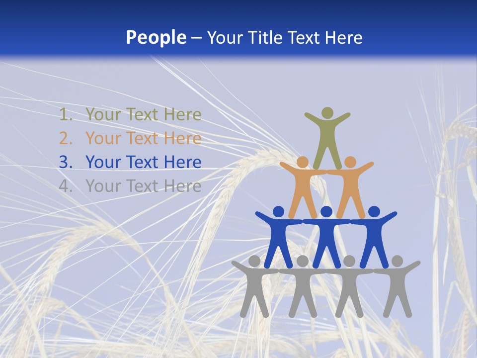 Wheat Ear Wheat Field Summer PowerPoint Template