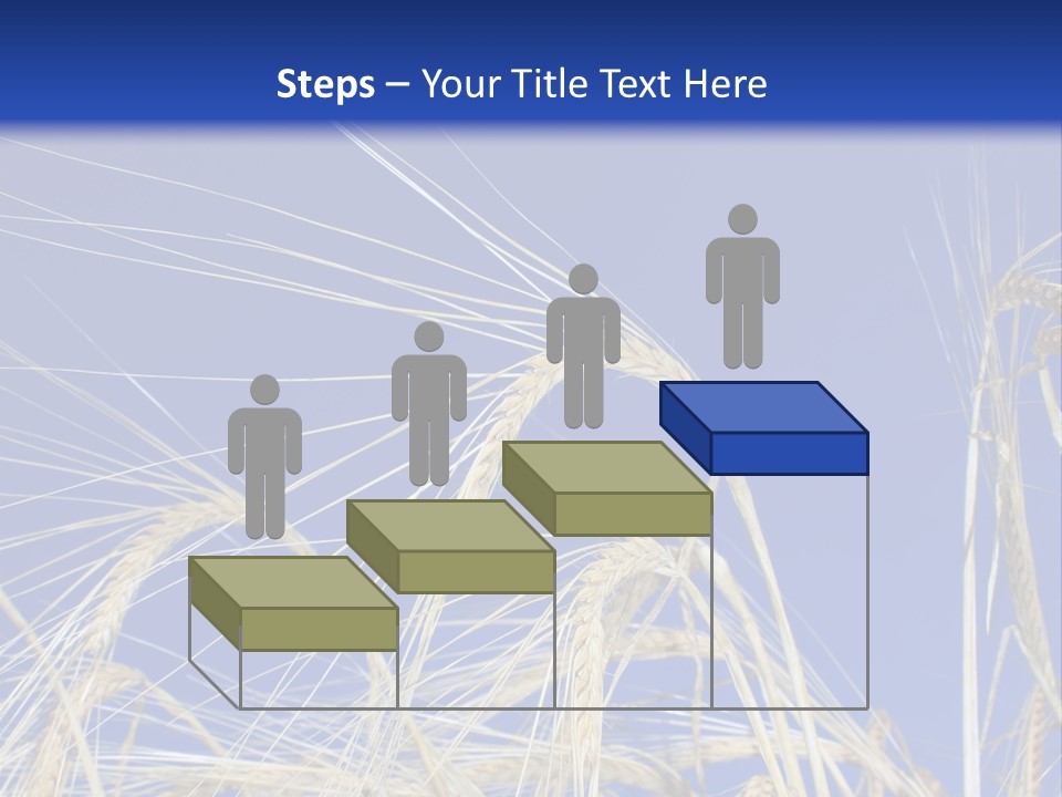 Wheat Ear Wheat Field Summer PowerPoint Template
