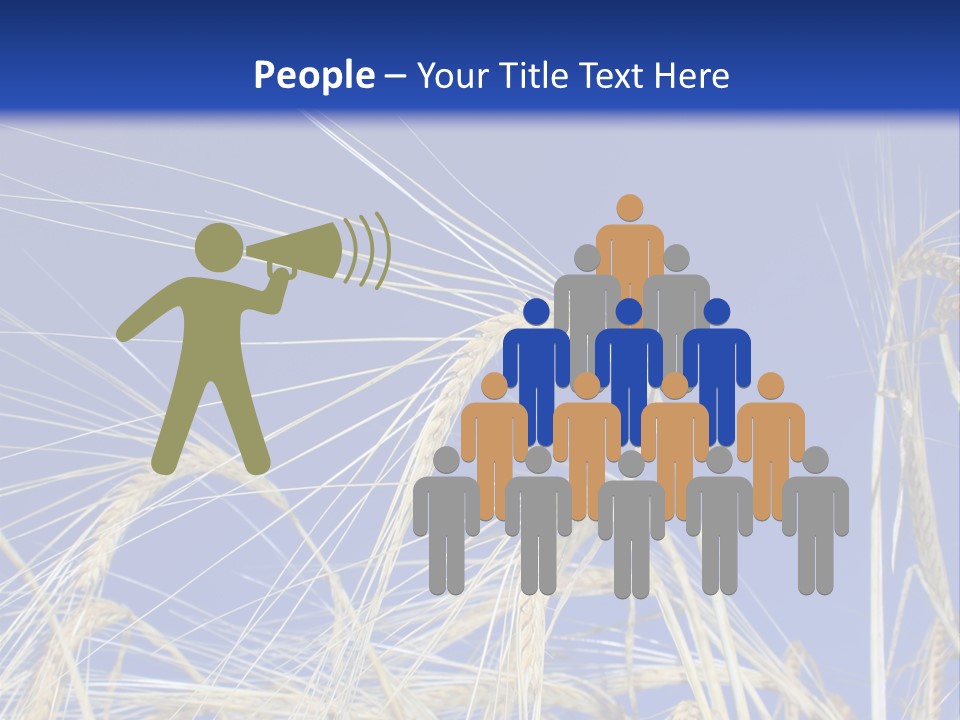 Wheat Ear Wheat Field Summer PowerPoint Template