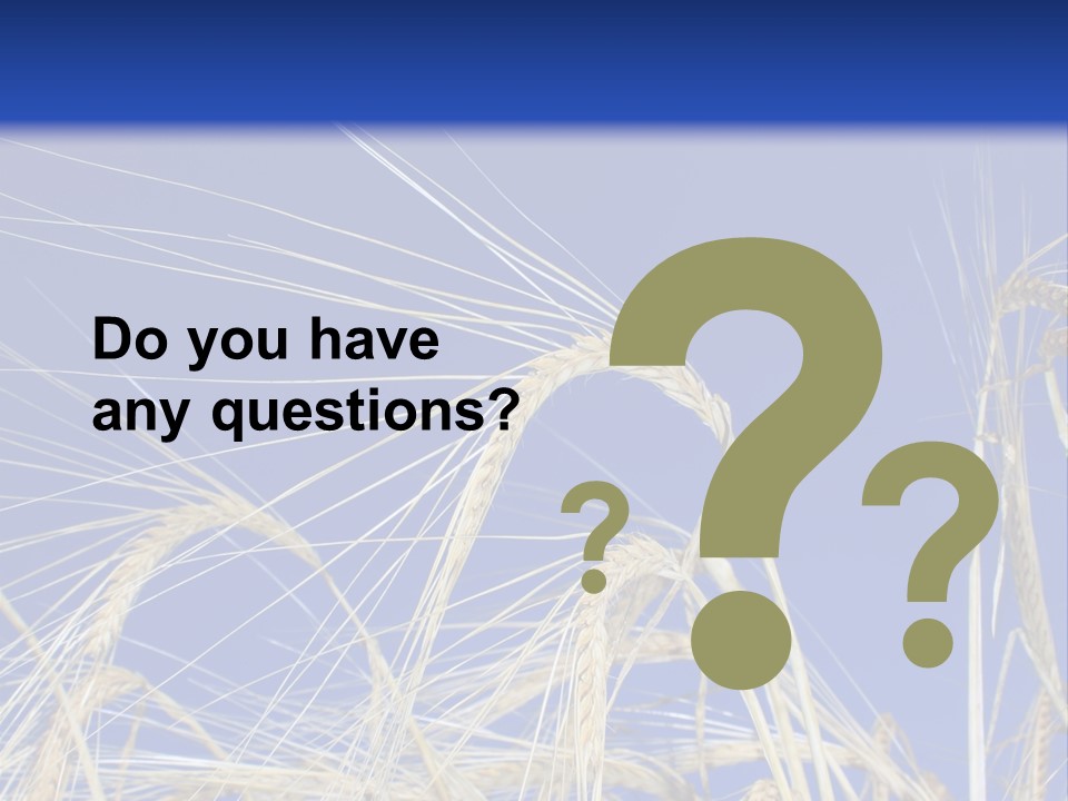 Wheat Ear Wheat Field Summer PowerPoint Template