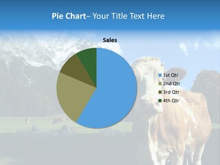 Cow Vacation Alps PowerPoint Template