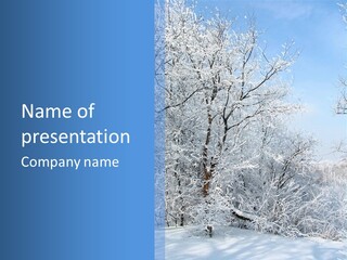 Christmas Background Landscap PowerPoint Template